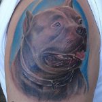 фото тату питбультерьер от 25.10.2017 №074 - tattoo pit bull terrier - tatufoto.com