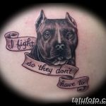 фото тату питбультерьер от 25.10.2017 №075 - tattoo pit bull terrier - tatufoto.com