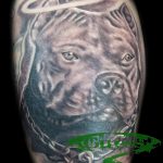 фото тату питбультерьер от 25.10.2017 №076 - tattoo pit bull terrier - tatufoto.com