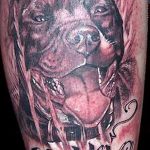 фото тату питбультерьер от 25.10.2017 №077 - tattoo pit bull terrier - tatufoto.com