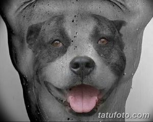 Фотография реалистичной татуировки на руке с изображением улыбающегося питбуля. Детализированная проработка шерсти и морды.