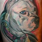фото тату питбультерьер от 25.10.2017 №081 - tattoo pit bull terrier - tatufoto.com