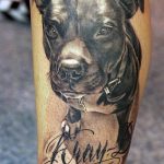 фото тату питбультерьер от 25.10.2017 №083 - tattoo pit bull terrier - tatufoto.com