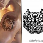фото тату питбультерьер от 25.10.2017 №085 - tattoo pit bull terrier - tatufoto.com