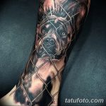 фото тату питбультерьер от 25.10.2017 №086 - tattoo pit bull terrier - tatufoto.com