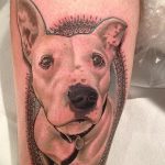 фото тату питбультерьер от 25.10.2017 №087 - tattoo pit bull terrier - tatufoto.com