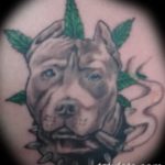 фото тату питбультерьер от 25.10.2017 №088 - tattoo pit bull terrier - tatufoto.com