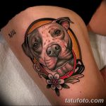 фото тату питбультерьер от 25.10.2017 №092 - tattoo pit bull terrier - tatufoto.com
