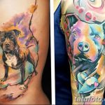 фото тату питбультерьер от 25.10.2017 №098 - tattoo pit bull terrier - tatufoto.com
