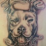 фото тату питбультерьер от 25.10.2017 №100 - tattoo pit bull terrier - tatufoto.com