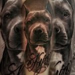 фото тату питбультерьер от 25.10.2017 №101 - tattoo pit bull terrier - tatufoto.com