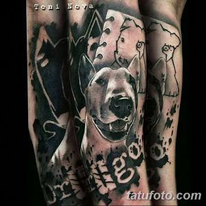 Фото тату: крупный портрет питбуля в стиле blackwork с элементами абстрактного фона, выполненный на руке.