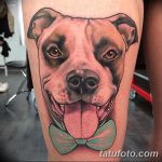 фото тату питбультерьер от 25.10.2017 №111 - tattoo pit bull terrier - tatufoto.com