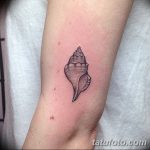 фото тату раковина от 07.10.2017 №001 - tattoo shell - tatufoto.com