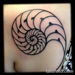 фото тату раковина от 07.10.2017 №003 - tattoo shell - tatufoto.com