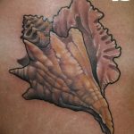 фото тату раковина от 07.10.2017 №004 - tattoo shell - tatufoto.com