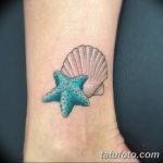 фото тату раковина от 07.10.2017 №014 - tattoo shell - tatufoto.com