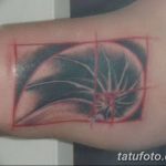 фото тату раковина от 07.10.2017 №018 - tattoo shell - tatufoto.com