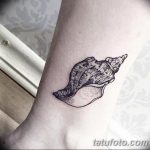 фото тату раковина от 07.10.2017 №030 - tattoo shell - tatufoto.com