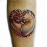 фото тату раковина от 07.10.2017 №035 - tattoo shell - tatufoto.com