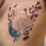 фото тату раковина от 07.10.2017 №041 - tattoo shell - tatufoto.com