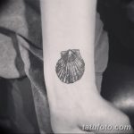 фото тату раковина от 07.10.2017 №047 - tattoo shell - tatufoto.com