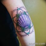 фото тату раковина от 07.10.2017 №048 - tattoo shell - tatufoto.com