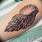 фото тату раковина от 07.10.2017 №051 - tattoo shell - tatufoto.com