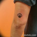 фото тату раковина от 07.10.2017 №053 - tattoo shell - tatufoto.com