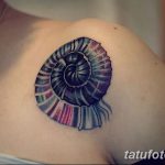 фото тату раковина от 07.10.2017 №061 - tattoo shell - tatufoto.com