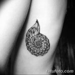 фото тату раковина от 07.10.2017 №067 - tattoo shell - tatufoto.com