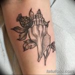 фото тату раковина от 07.10.2017 №070 - tattoo shell - tatufoto.com