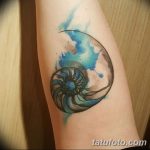 фото тату раковина от 07.10.2017 №071 - tattoo shell - tatufoto.com