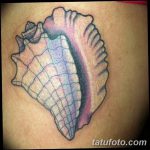 фото тату раковина от 07.10.2017 №072 - tattoo shell - tatufoto.com