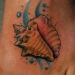 фото тату раковина от 07.10.2017 №073 - tattoo shell - tatufoto.com