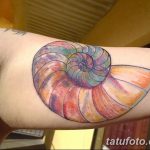 фото тату раковина от 07.10.2017 №081 - tattoo shell - tatufoto.com