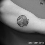 фото тату раковина от 07.10.2017 №090 - tattoo shell - tatufoto.com