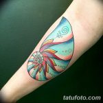 фото тату раковина от 07.10.2017 №091 - tattoo shell - tatufoto.com