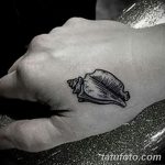 фото тату раковина от 07.10.2017 №099 - tattoo shell - tatufoto.com