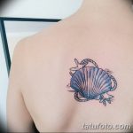 фото тату раковина от 07.10.2017 №100 - tattoo shell - tatufoto.com
