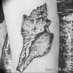 фото тату раковина от 07.10.2017 №101 - tattoo shell - tatufoto.com