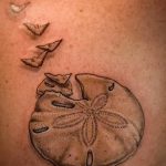 фото тату раковина от 07.10.2017 №109 - tattoo shell - tatufoto.com