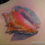 фото тату раковина от 07.10.2017 №116 - tattoo shell - tatufoto.com
