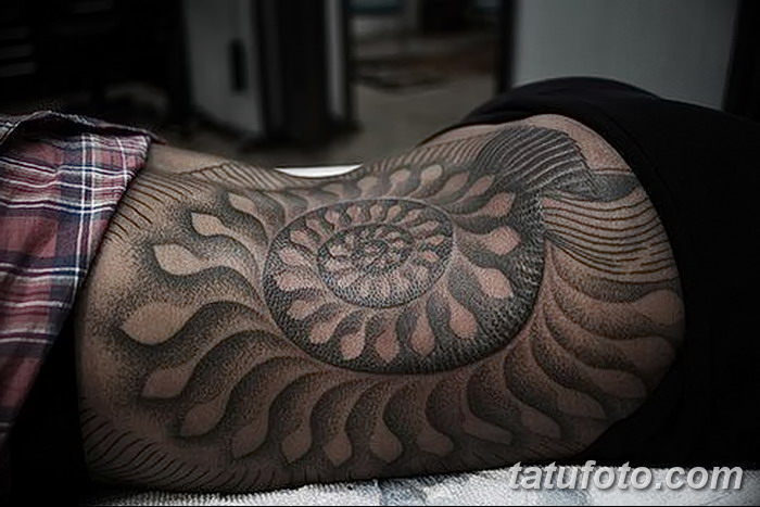 фото тату раковина от 07.10.2017 №120 - tattoo shell - tatufoto.com