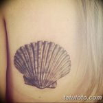 фото тату раковина от 07.10.2017 №121 - tattoo shell - tatufoto.com