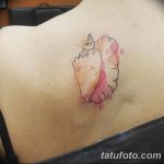 фото тату раковина от 07.10.2017 №142 - tattoo shell - tatufoto.com