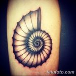 фото тату раковина от 07.10.2017 №147 - tattoo shell - tatufoto.com