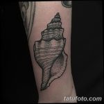 фото тату раковина от 07.10.2017 №149 - tattoo shell - tatufoto.com