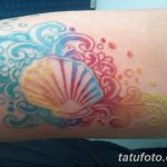 фото тату раковина от 07.10.2017 №153 - tattoo shell - tatufoto.com