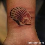 фото тату раковина от 07.10.2017 №155 - tattoo shell - tatufoto.com